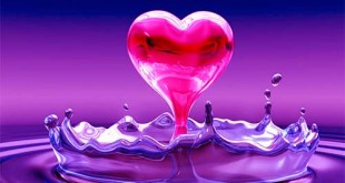 heart