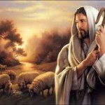 shepherd