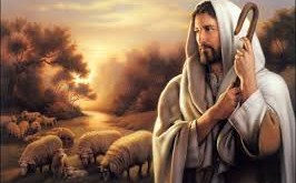 shepherd