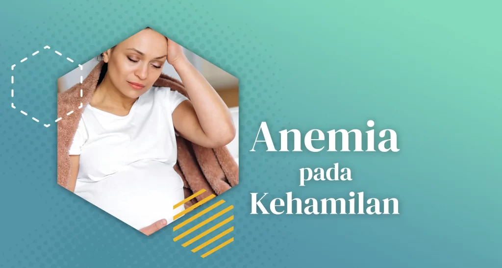 ANEMIA PADA KEHAMILAN - Pada trimester ketiga kehamilan, tubuh membutuhkan lebih banyak sel darah merah untuk mencukupi kebutuhan