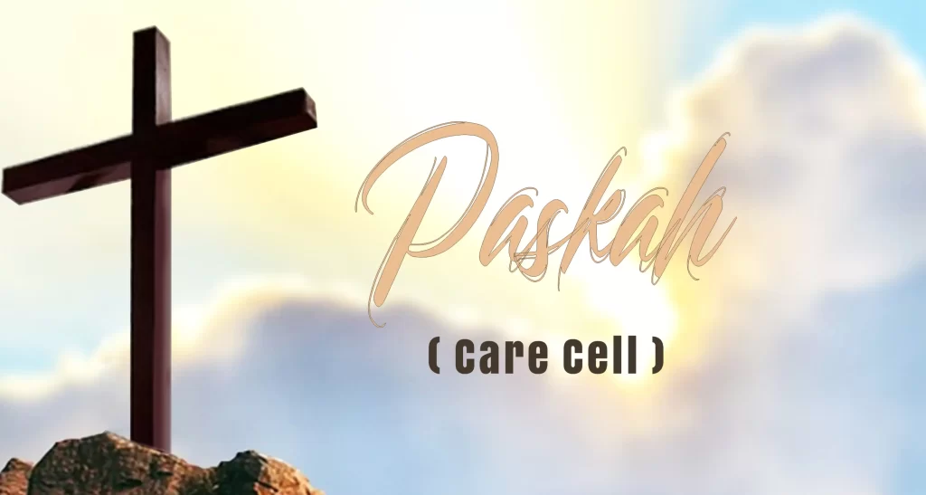 Care Cell