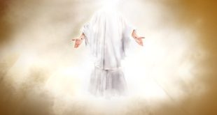 Illustrasi Renungan 6 Desember 2023 YESUS SANG RAJA DAMAI DAN PENGHARAPAN