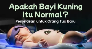 Kesehatan Sept 1