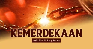 Care Cell Agustus